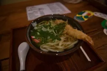 Tempura udon for dinner