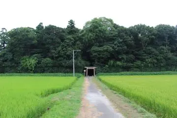 Not too far from Yamagoya restaurant, this small forest with hidden shrine exists