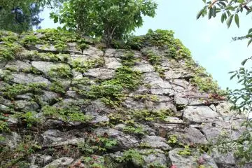 Matsusaka Castle Ruins