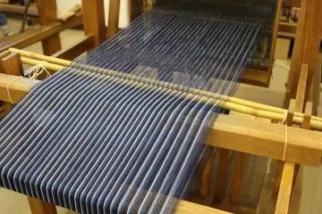 Indigo cotton