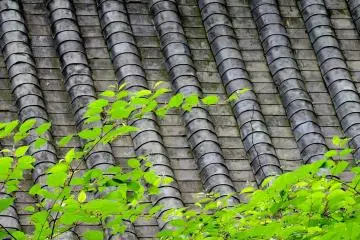 Texture and pattern at Tōshō-gū