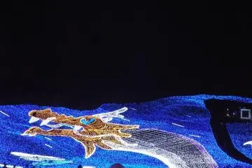Another dragon
