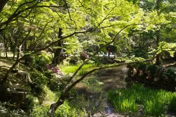 Maravillosas vistas del jardín botánico Manyo