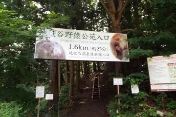1.6 MileTrail to  Monkey Park