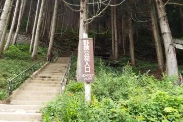 Another steep stairway up to Monkey Park
