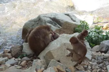 Mama and kids