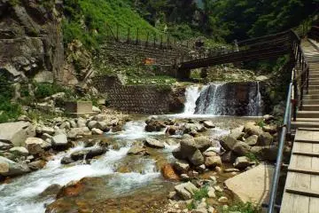 Scenery at Monkey Park