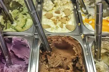 The avocado ice-cream has slices of real avocado in it