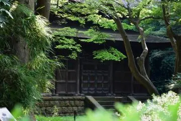 Old building along the path