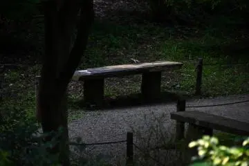 Bench in the shade