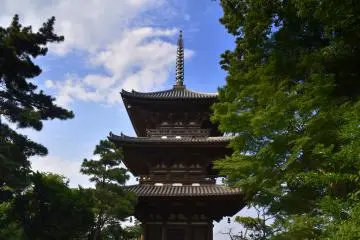 First Time Visit to Sankeien Garden