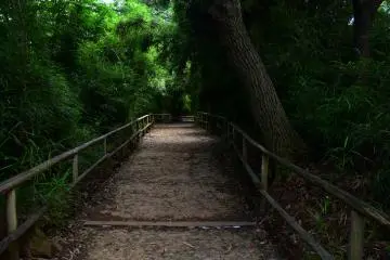 Quiet path