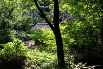 Former Yanoharake House is an important cultural property