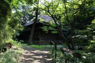Old house under the shade of trees