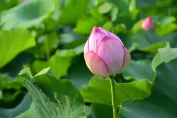 How cute!
