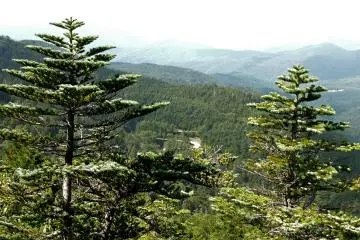 Glimpse of the winding road that is Odarumi Pass 