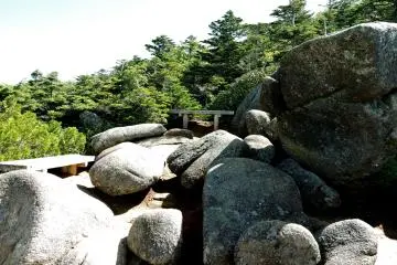 Rest area in the 'garden'