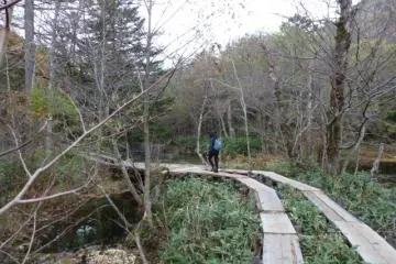 Wetlands boardwalk