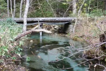 Wetlands pond