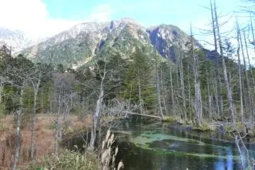 Taisho Pond