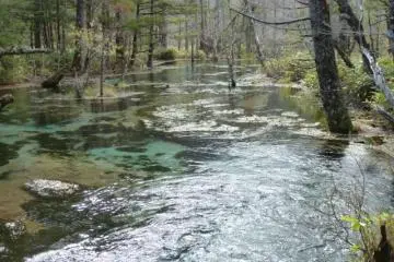 Tashiro Pond