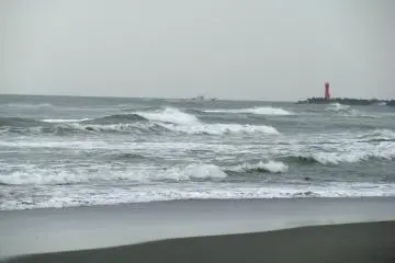5월의 바람부는 날