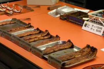 Eel at fish market
