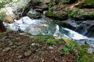 Tethered by a safety rope, a disciple made her way to the main flow of water