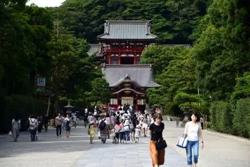 Gallery image