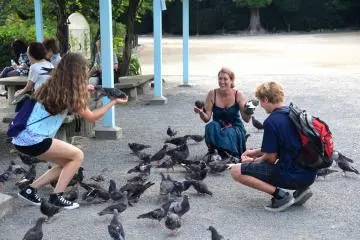 Tsurugaoka Hachimangu Shrine is very popular with foreign tourists