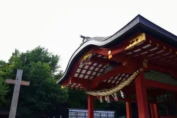 Mai-den, a dancing platform