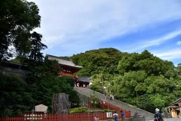 The root of a giant ginko tree. It was uprooted by a stormy wind six years ago but is preserved here.