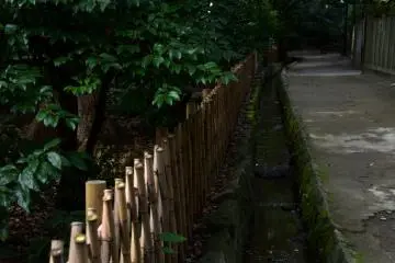 Quiet path on the shrine grounds