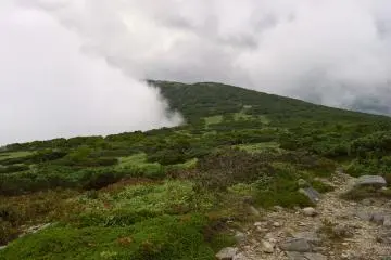 The fog rolling in