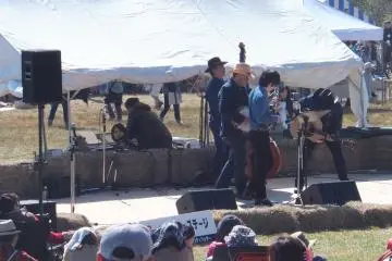 Bluegrass Music