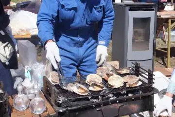 Clams