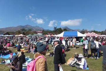 Enjoying the entertainment 