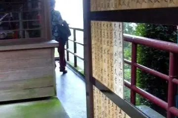 Checking out the view (Photo: S.C.Kurokawa)