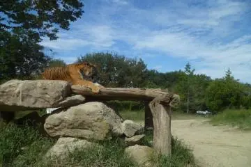 Gunma Safari Park