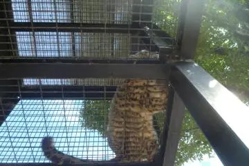 Gunma Safari Park