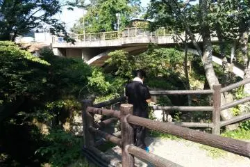 Walking the trail