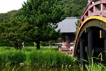 Looking at the Kondo Hall (main hall) from the edge of the pond