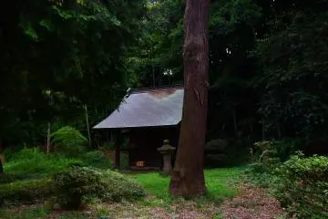 A small old temple in the woods
