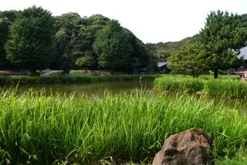 Ajigaike Pond inside the Japanese garden of the temple