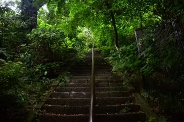 Shomyoji Temple stands at the foot of the Nature Observation Woods. These stone steps lead you to a long hiking trail.