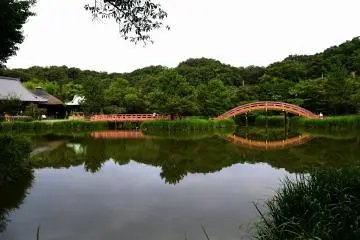 Ajigaike Pond has two red bridges. One is arched and the other is flat.