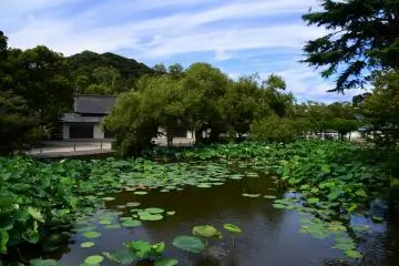 Genji-ike Pond under the blue sky