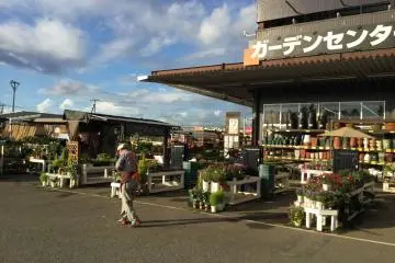 Everything you need for your garden and landscaping.