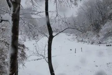 In the winter, the rice fields rest and hibernate