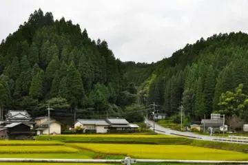 Around Kurokawa Onsen